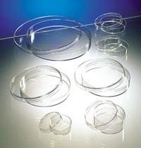 disposable funnels