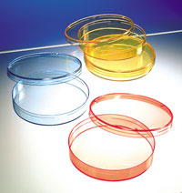 disposable funnels